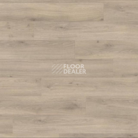 Ламинат Haro Tritty 100 4V ДУБ ЭМИЛИЯ ВЕЛЬВЕТ СЕРЫЙ 538695 фото 1 | FLOORDEALER